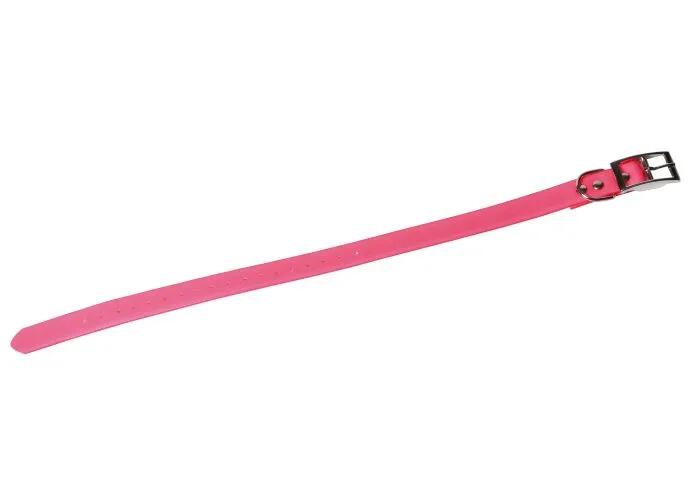 Collier Pour Chien Fluo - Bleu 2/4
