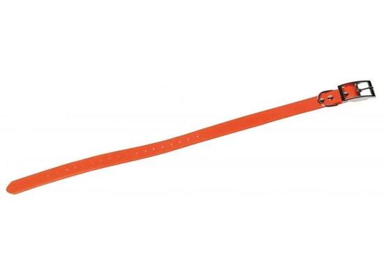 Collier Pour Chien Fluo - Bleu