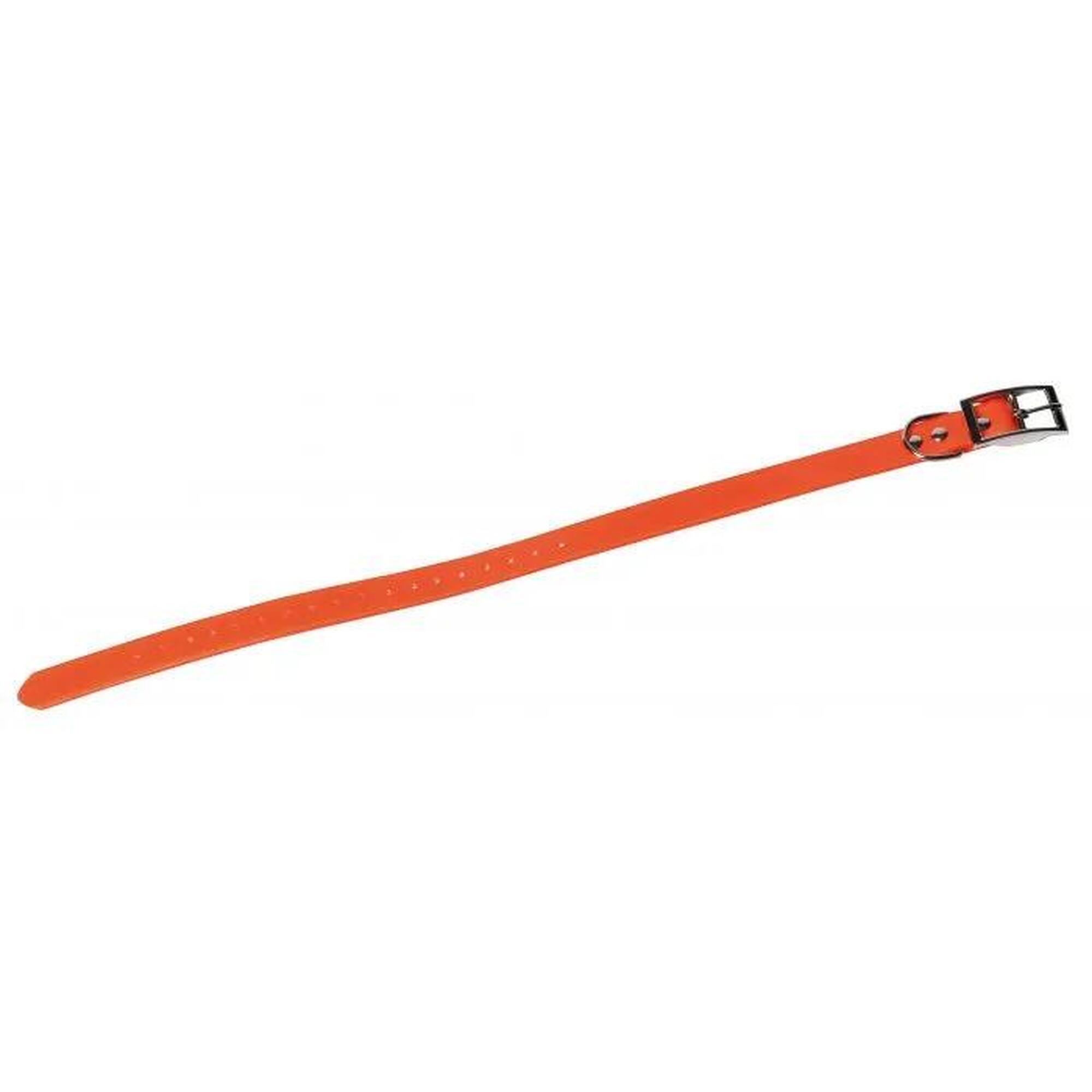 Januel - Collier Pour Chien Fluo - Bleu - Collier De Chasse - Taille Unique - Decathlon