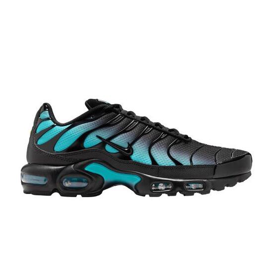 Nike Air Max Plus Black Dusty Cactus