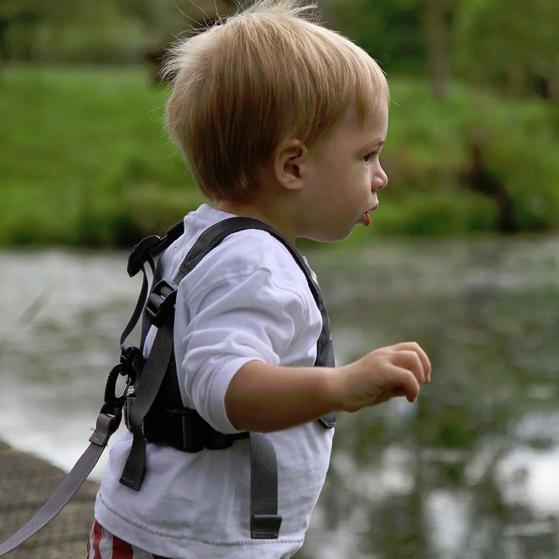 Szelki bezpieczeństwa dziecięce LittleLife L10258 lekkie regulowane 1–3 lata 7/7