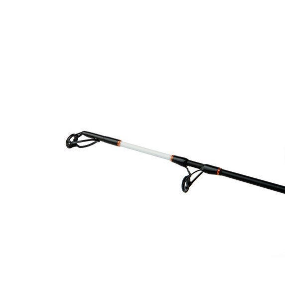 Caña de spinning Shimano Beastmaster AX Catfish Static 400g 3/3