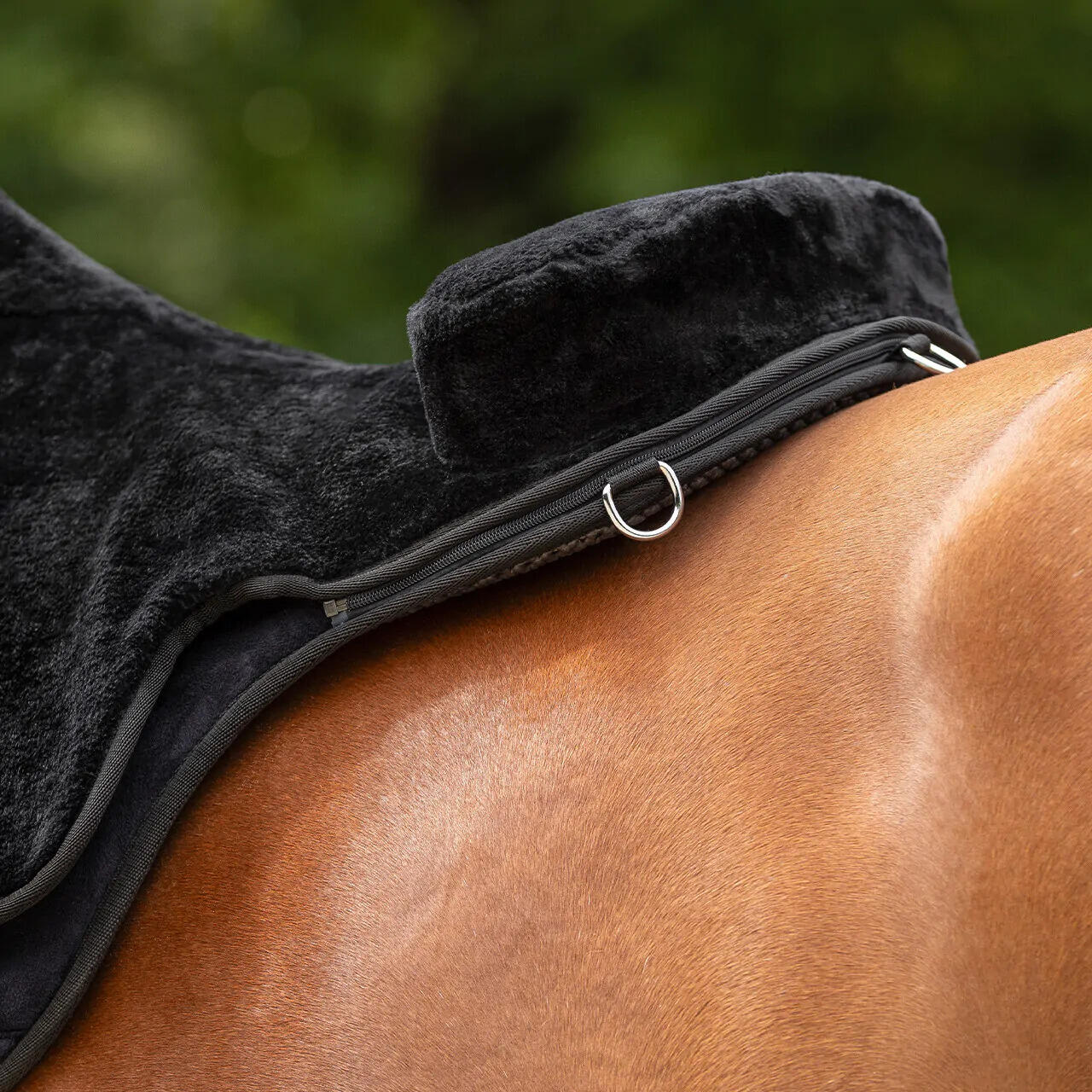 QHP Bareback Pad Super Soft  - Zwart (Shet) 4/5