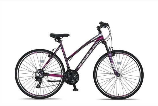 Magnetic 28 Inch 52 cm Dames 21V V-Brakes Antraciet
