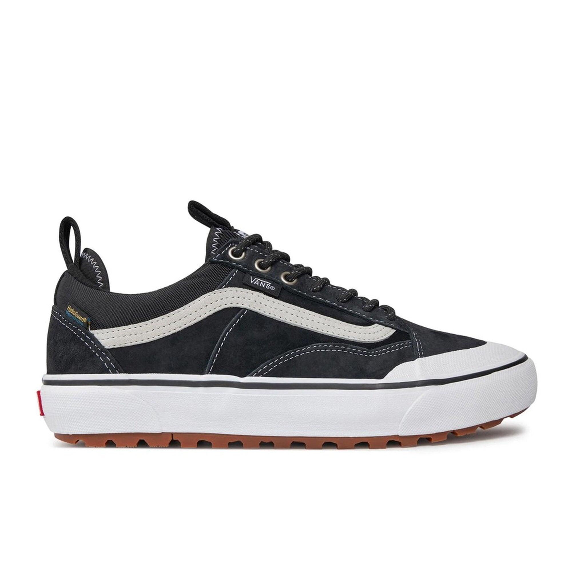 VANS picture