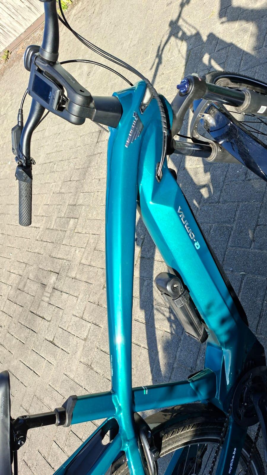Entre Particuliers - Bianchi E OMNIA T type (vert émeraude) 4/6