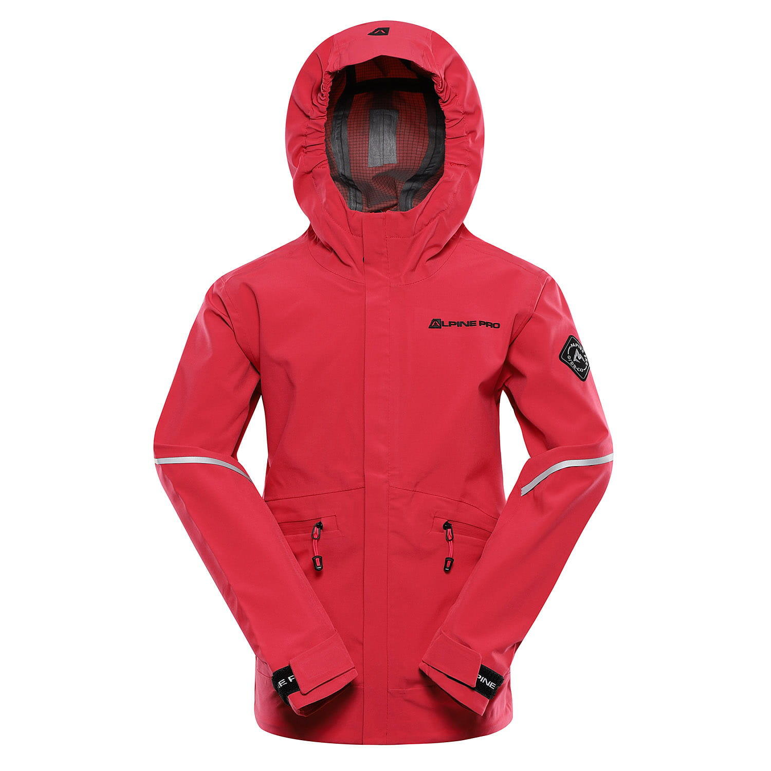 ALPINE PRO picture