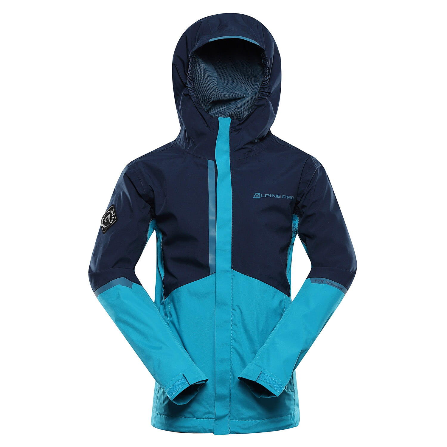 ALPINE PRO picture