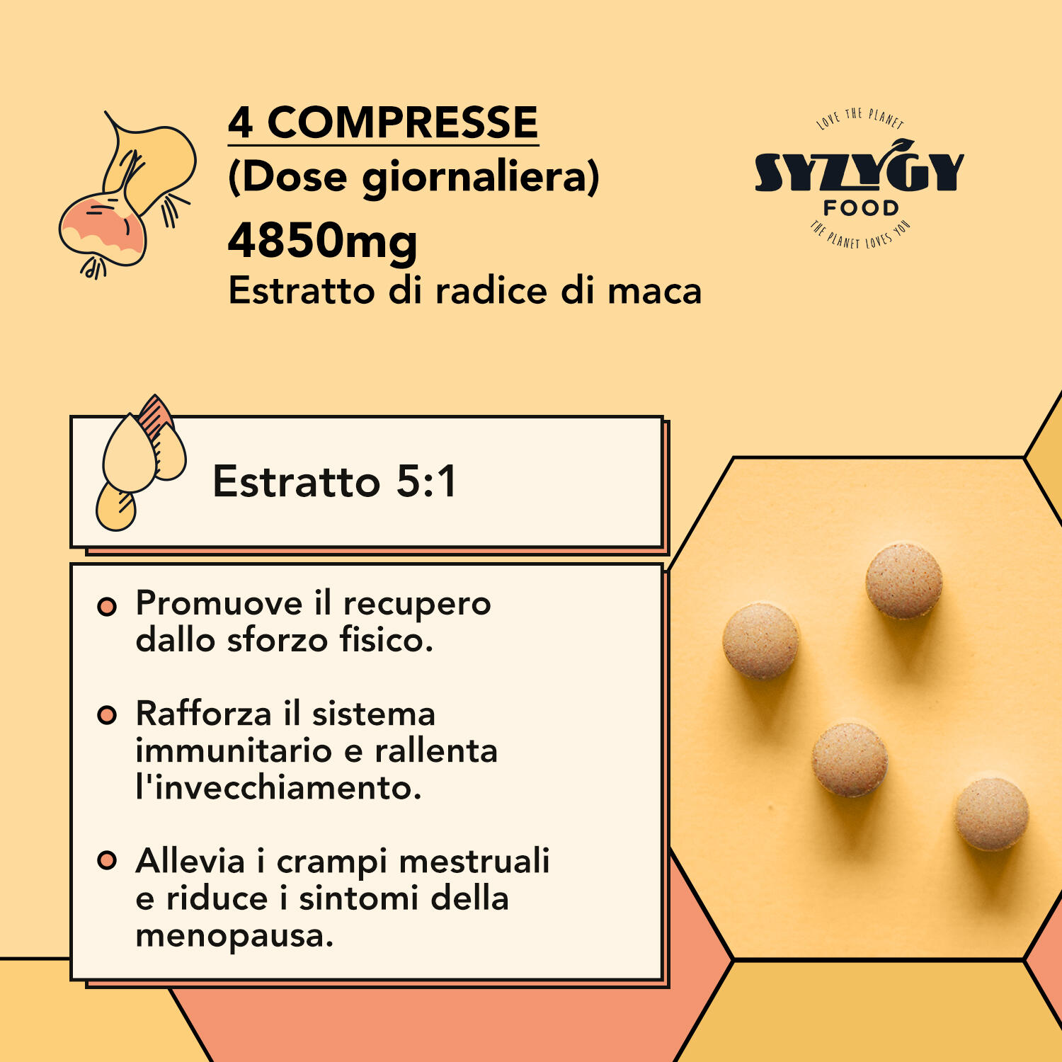 Extracto de Pura Maca Andina Ecológica Syzygy Food 250 comprimidos 5/5