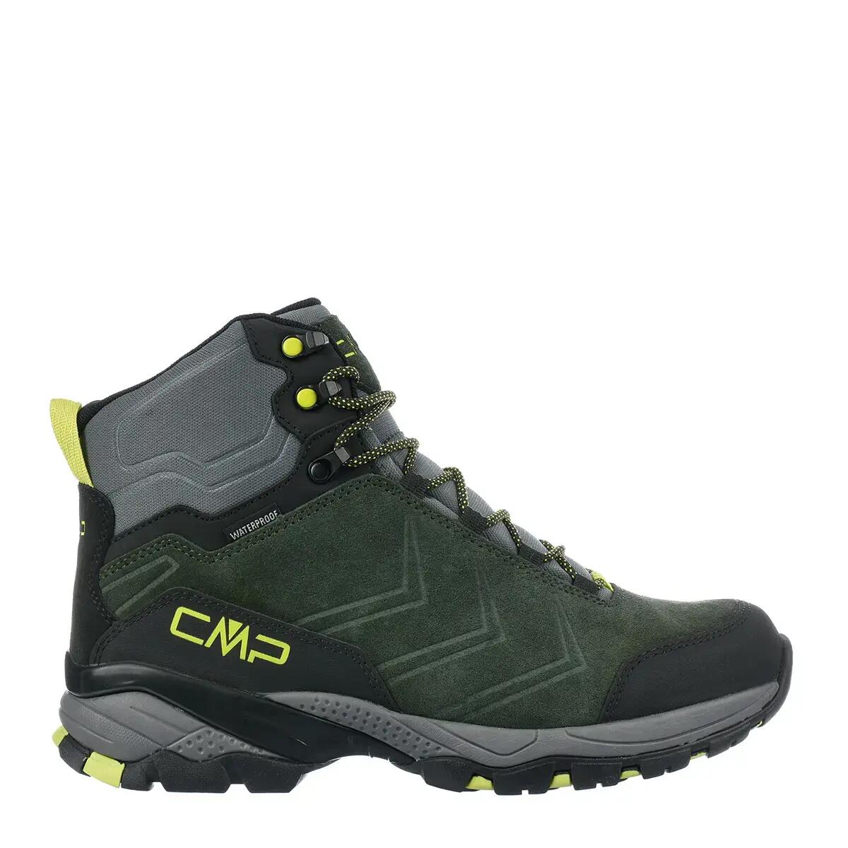 CMP picture