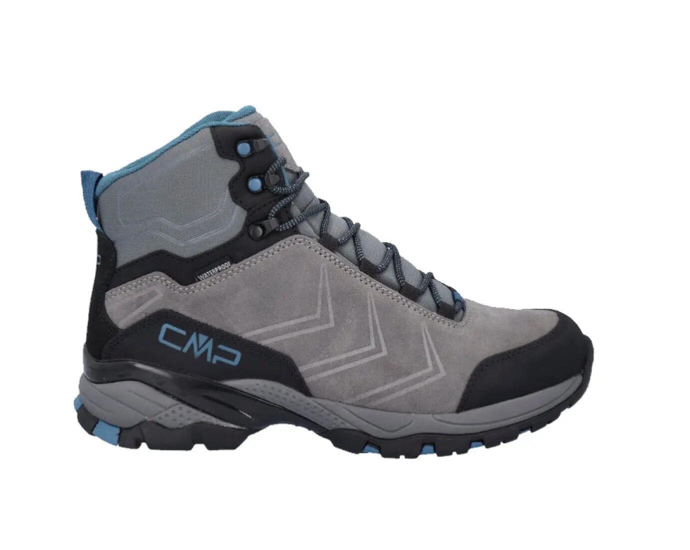 CMP picture