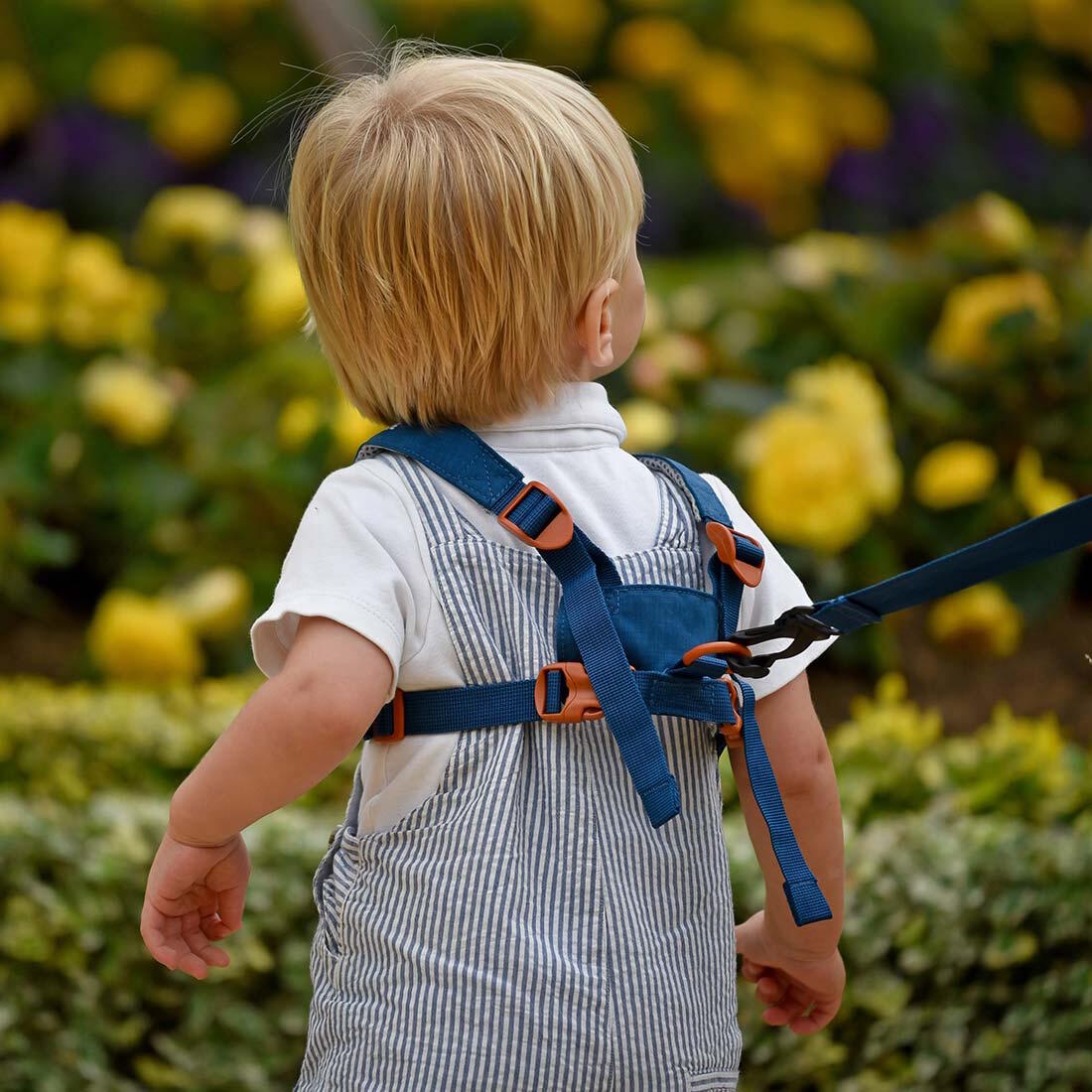 Harnais sécurité Toddler LittleLife Dino réins bretelles réglables 6/7