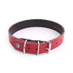 Collier pour chien Martin Sellier Allure