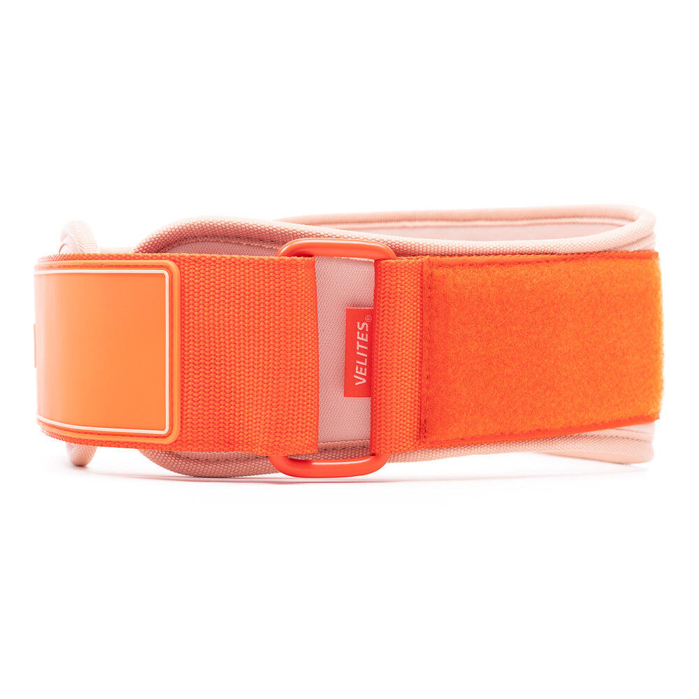 Ceinture de musculation Velites 2/4