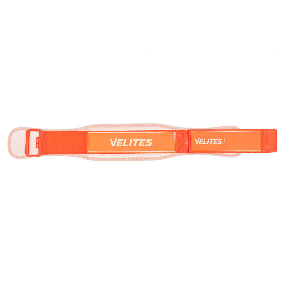 Ceinture de musculation Velites 4/4