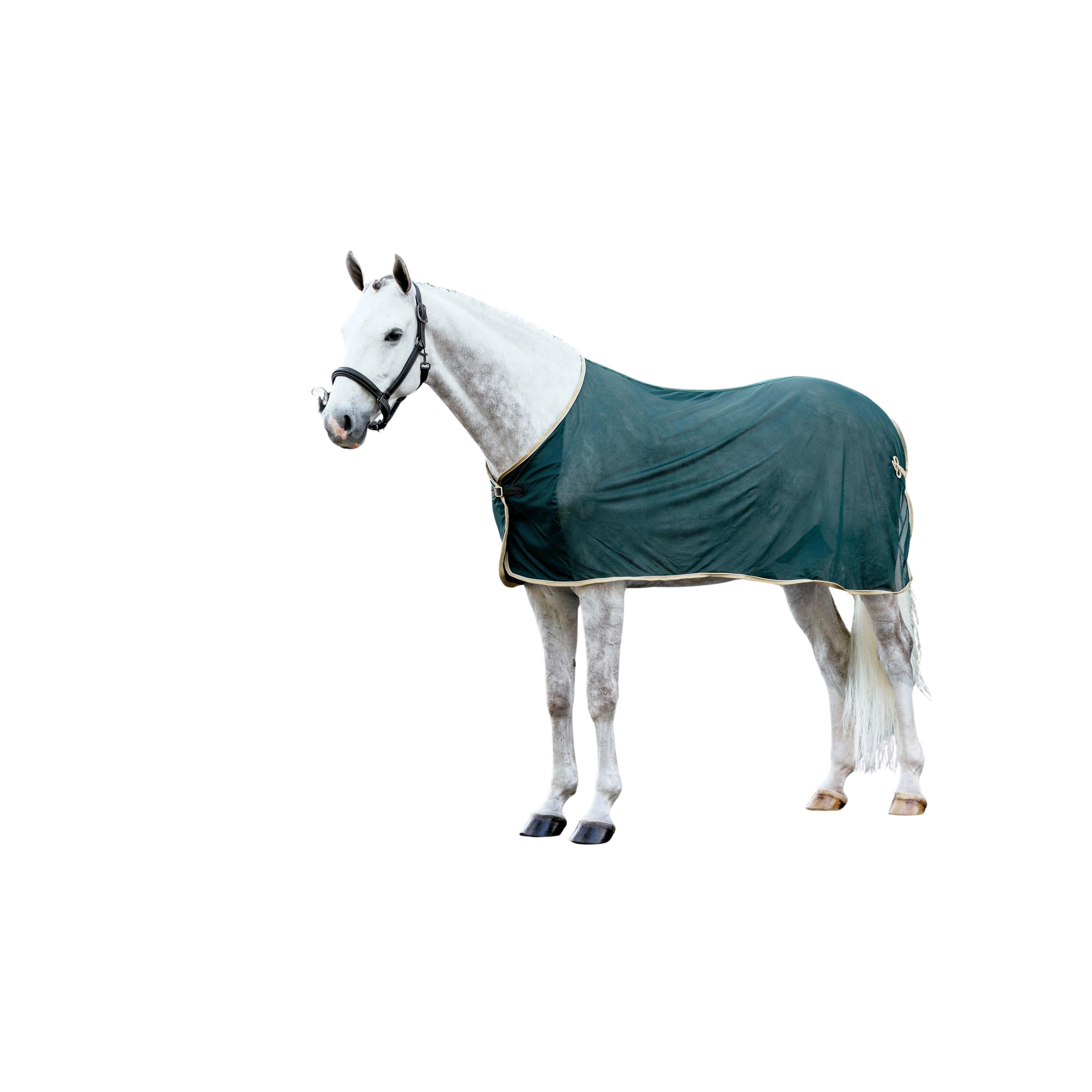 Drooghemd voor paarden LeMieux 2/4