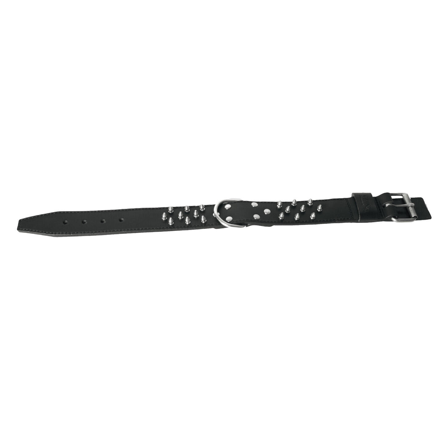 Collier pour chien clouté en cuir vachette Martin Sellier 2/2