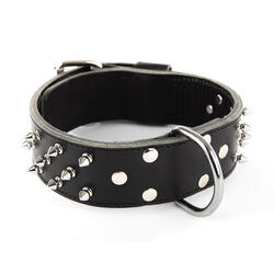 Collier pour chien clouté en cuir vachette Martin Sellier
