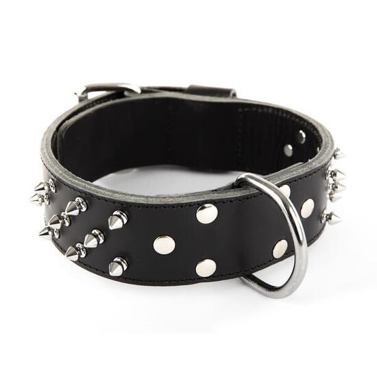 Collier pour chien clouté en cuir vachette Martin Sellier