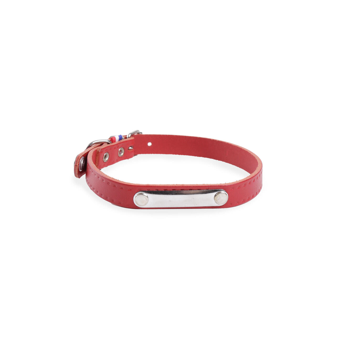 Collier pour chien cuir vachette Martin Sellier Rive 1/1