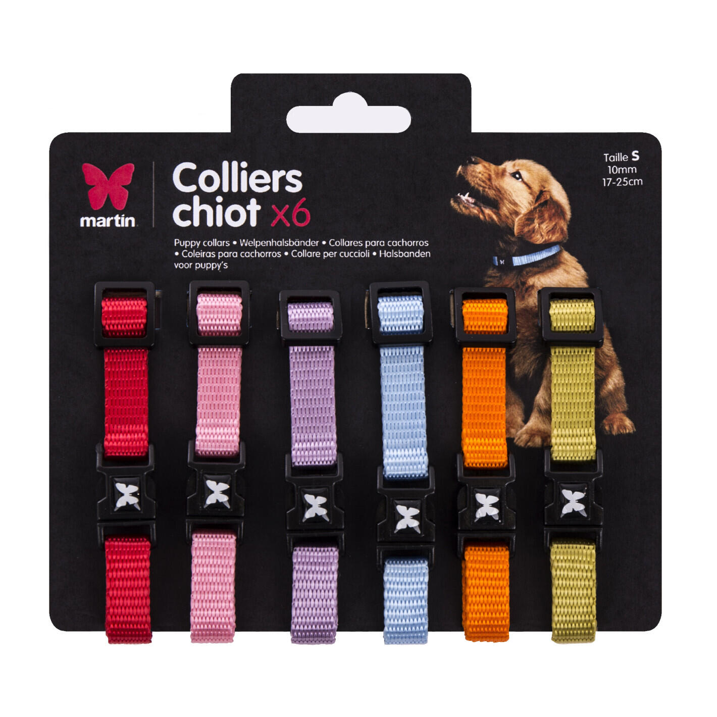 Collier pour chien Martin Sellier XS (x6) 1/1
