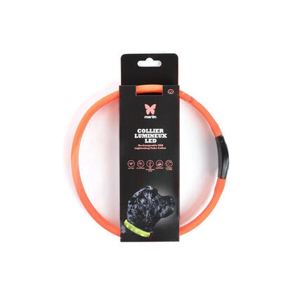 Collier pour chien tube LED Martin Sellier