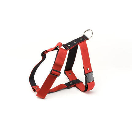 Hundegeschirr Martin Sellier L