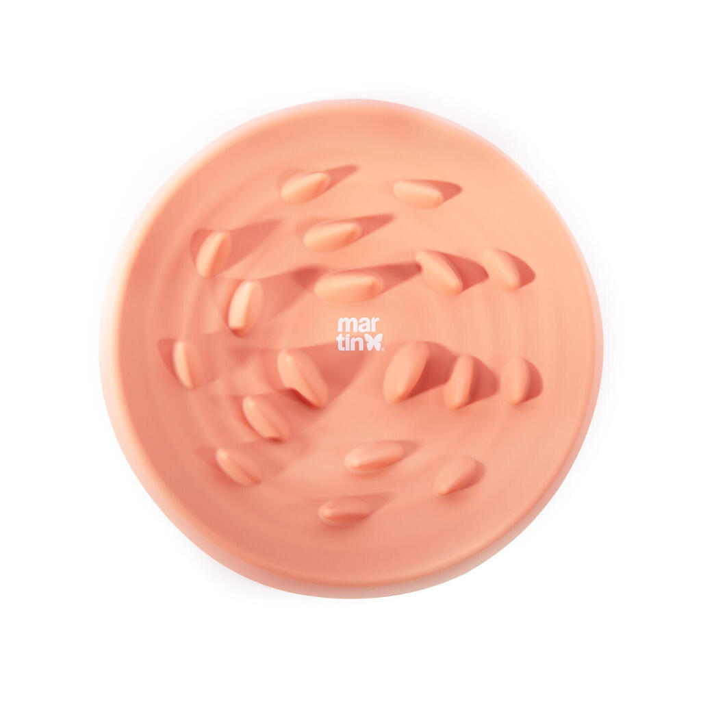 Dog bowl Martin Sellier Slow Feeder
