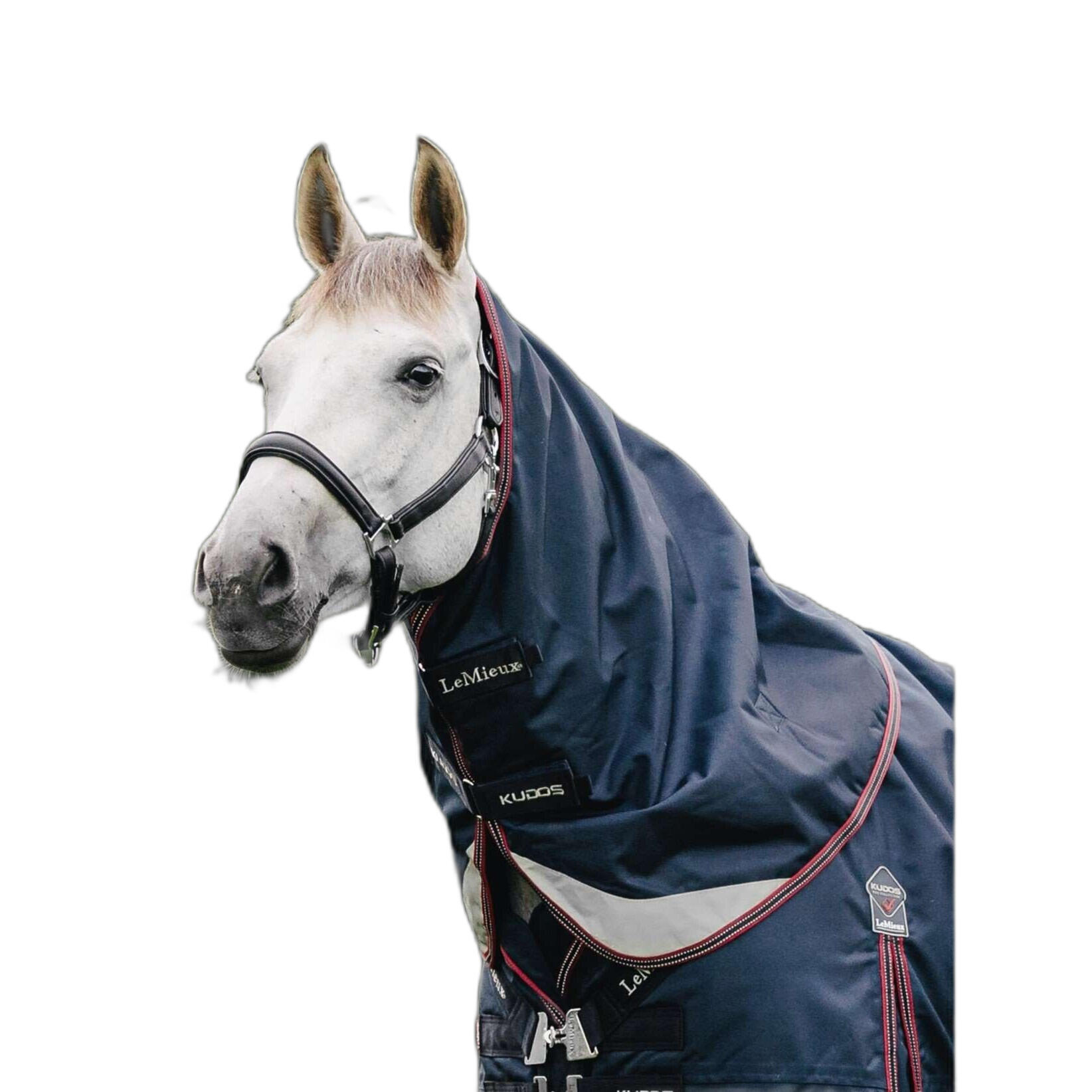 Paardendeken LeMieux Kudos 50 g 2/2