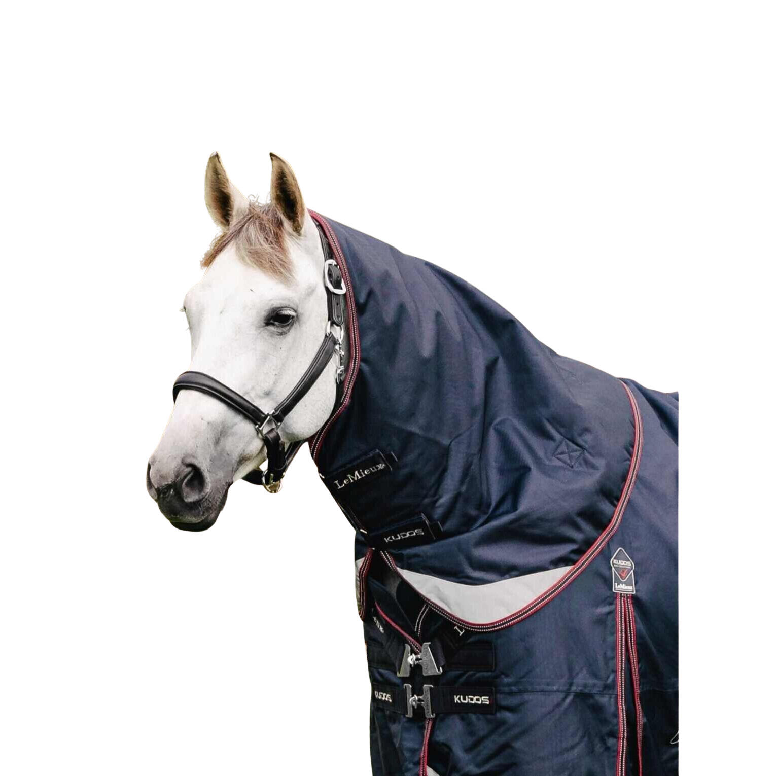 Paardendeken LeMieux Kudos 100 g 2/2