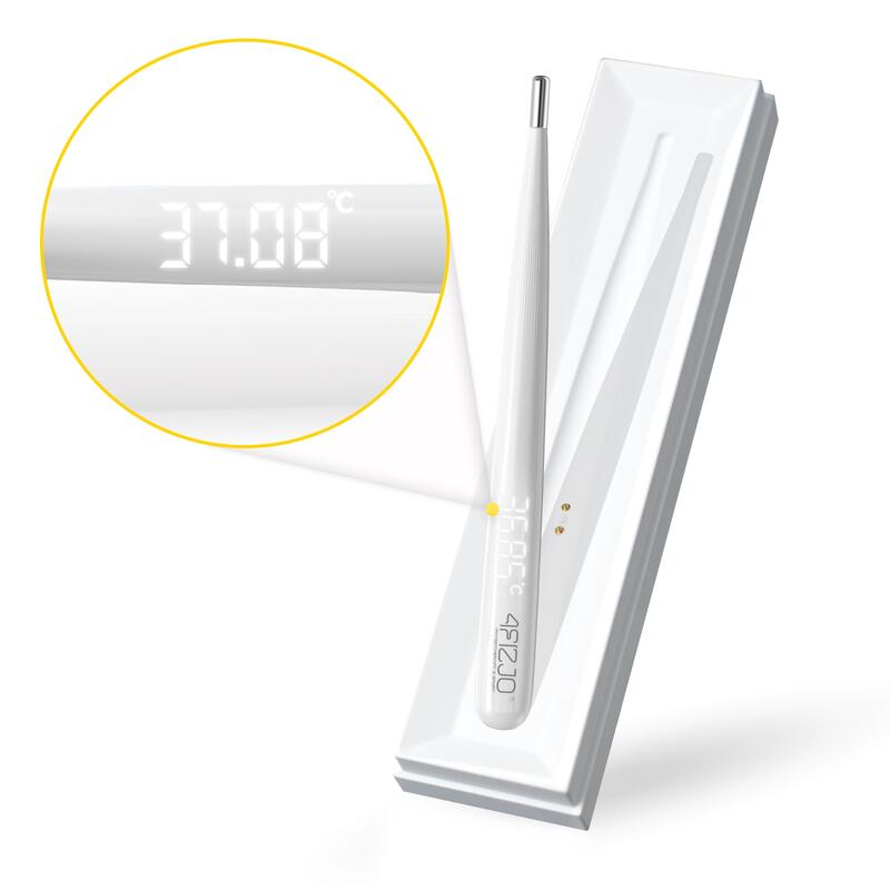 Termometru electronic 4FIZJO LITE