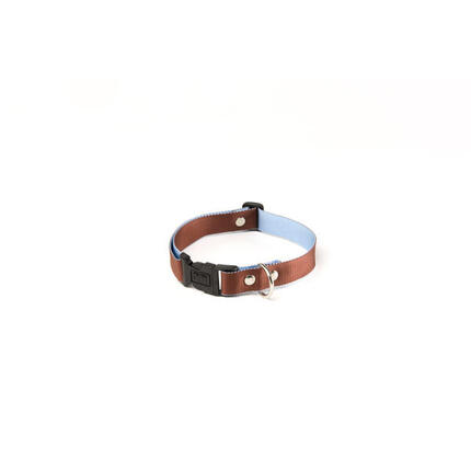 Collier pour chien Martin Sellier M