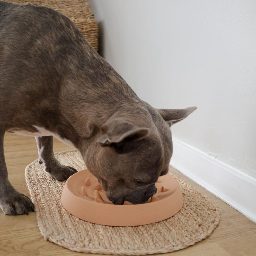 Gamelle pour chien Martin Sellier Slow Feeder 5/5