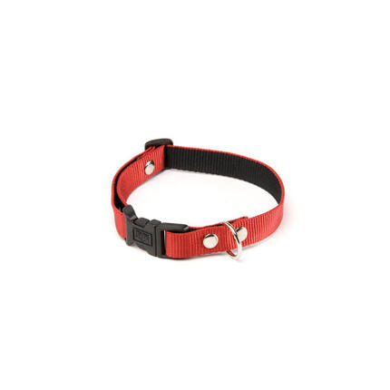 Collier pour chien Martin Sellier XS