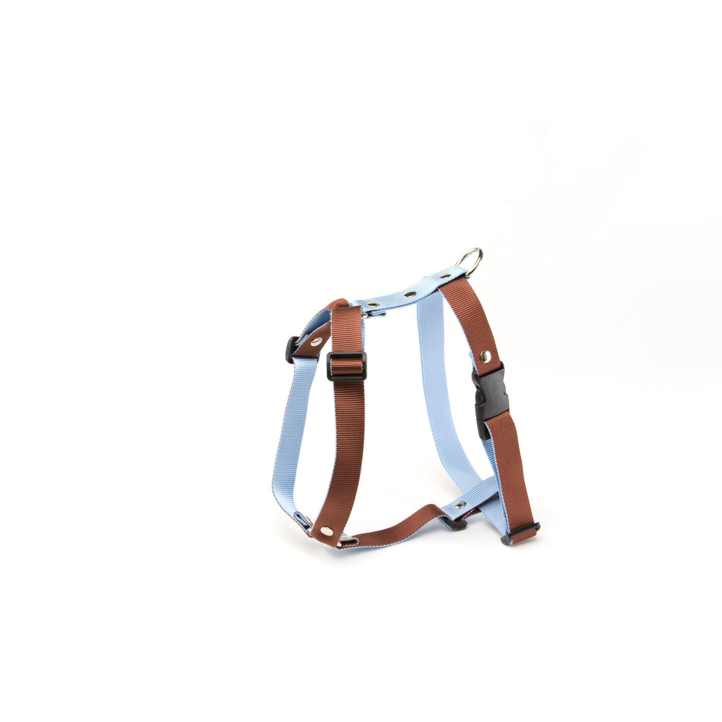 Martin Sellier - Harnais Pour Chien Martin Sellier M - Harnais Pour Chien - Bleu|marron - Taille Unique - Decathlon