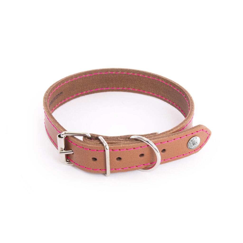 Dog collar Martin Sellier Flash