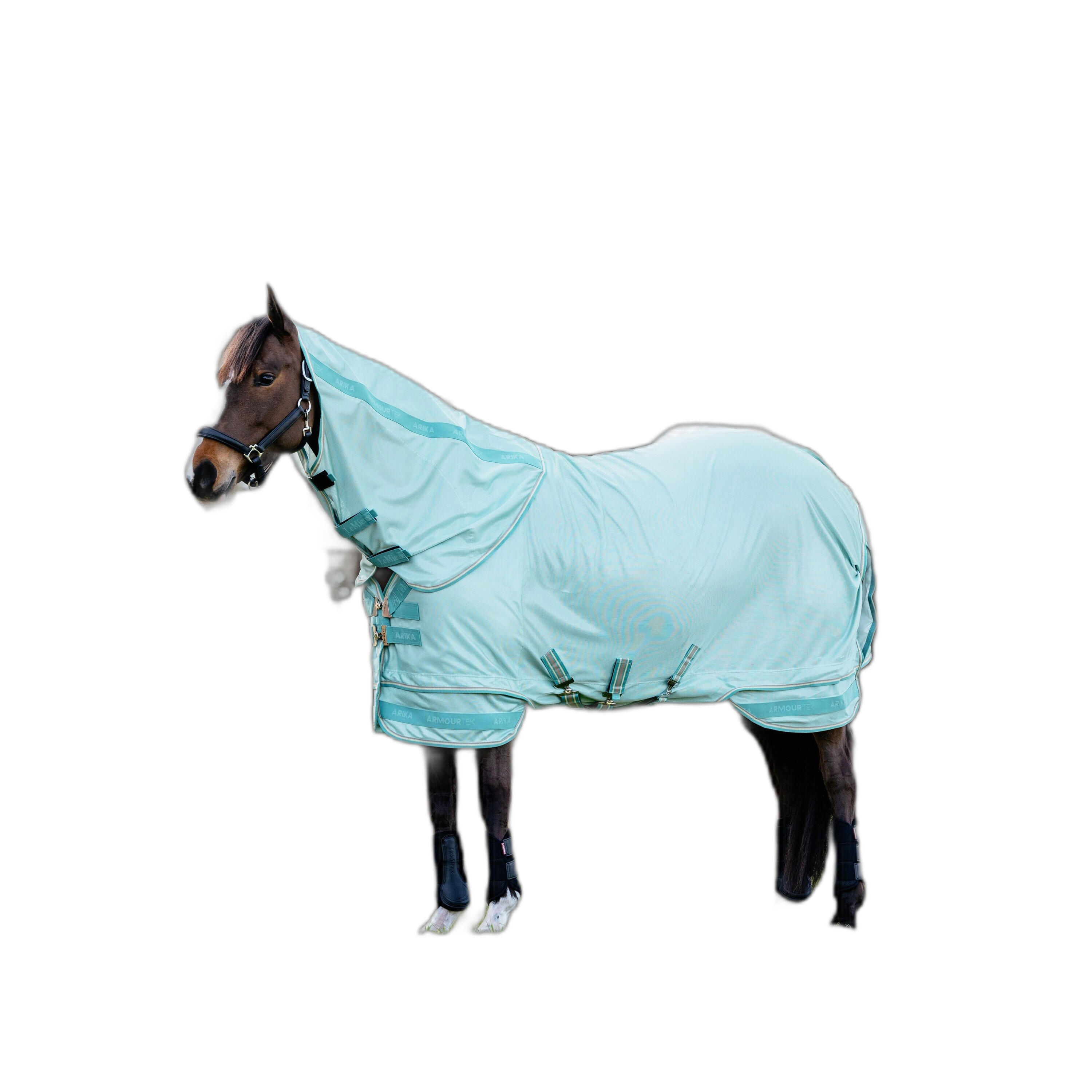 turquoise / bleu caraïbes / bleu clair