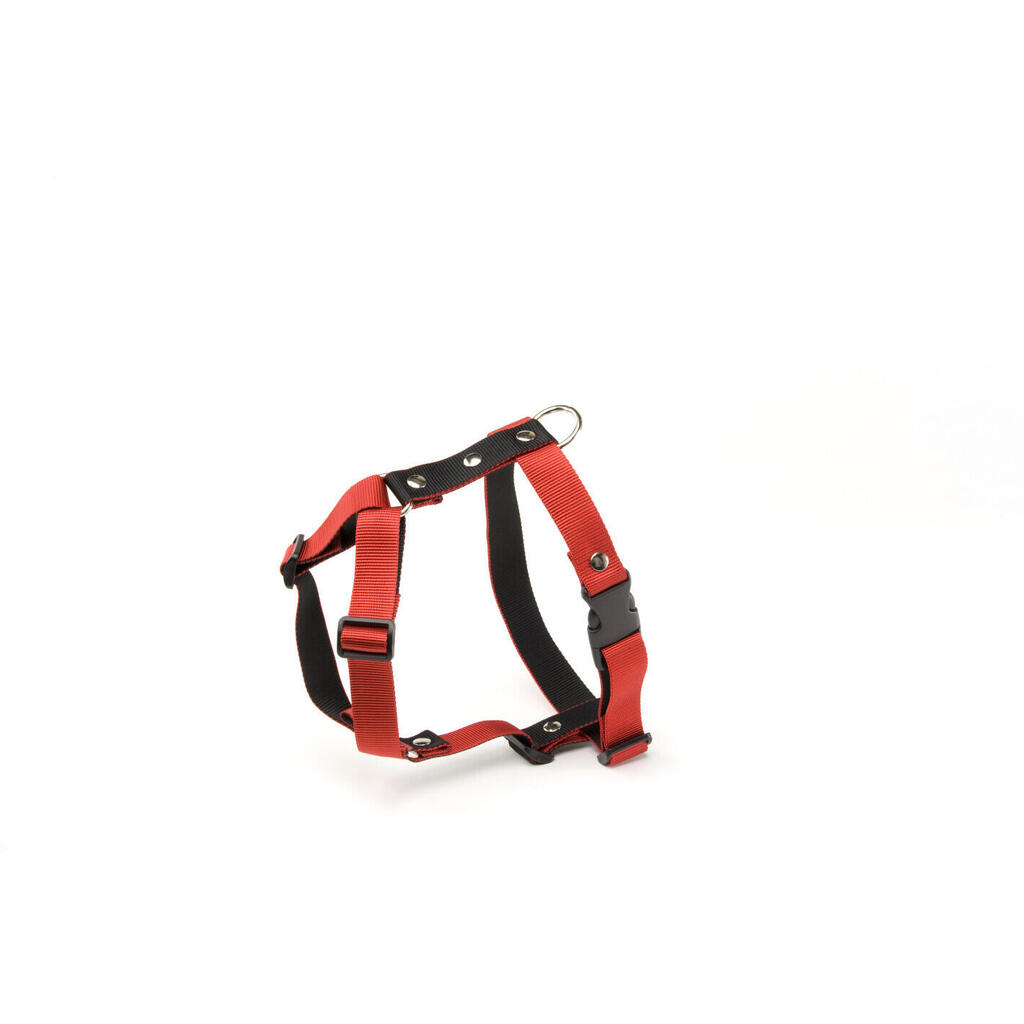 Dog harness Martin Sellier M