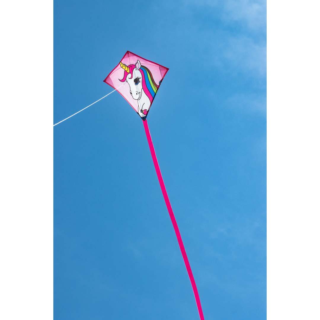 Mini Eddy Unicorn" kite HQ invento 3/4