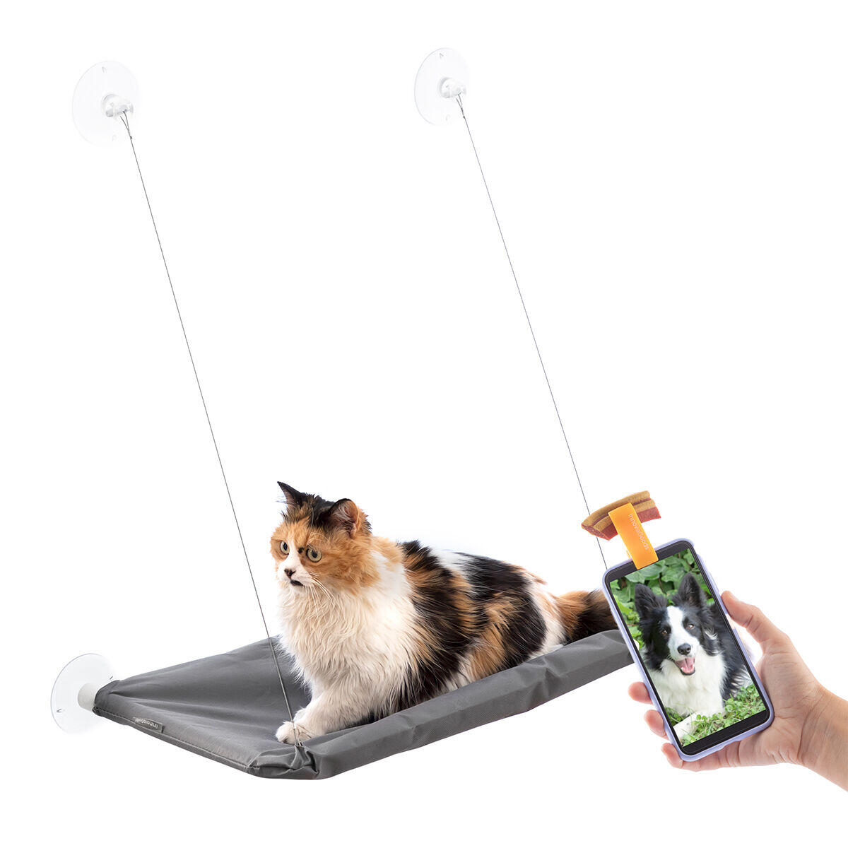 INNOVAGOODS Pack Clipe de Selfies para Animais de Estimação e Rede Suspensa para Gatos