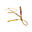 Widerstandstrainer 2.0 Gold Maximal stark Functional Training Unisex Gold