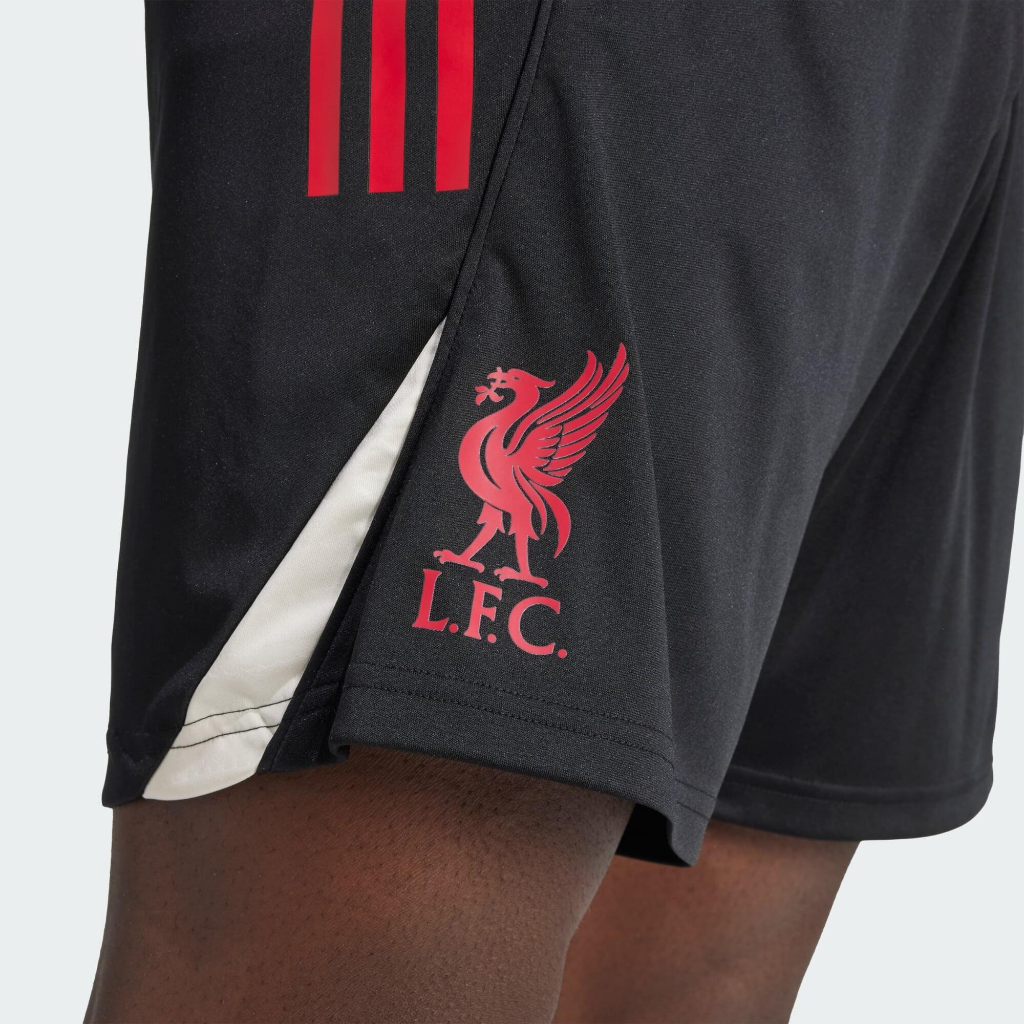 Spodenki treningowe Liverpool FC Tiro 25 Competition 4/7