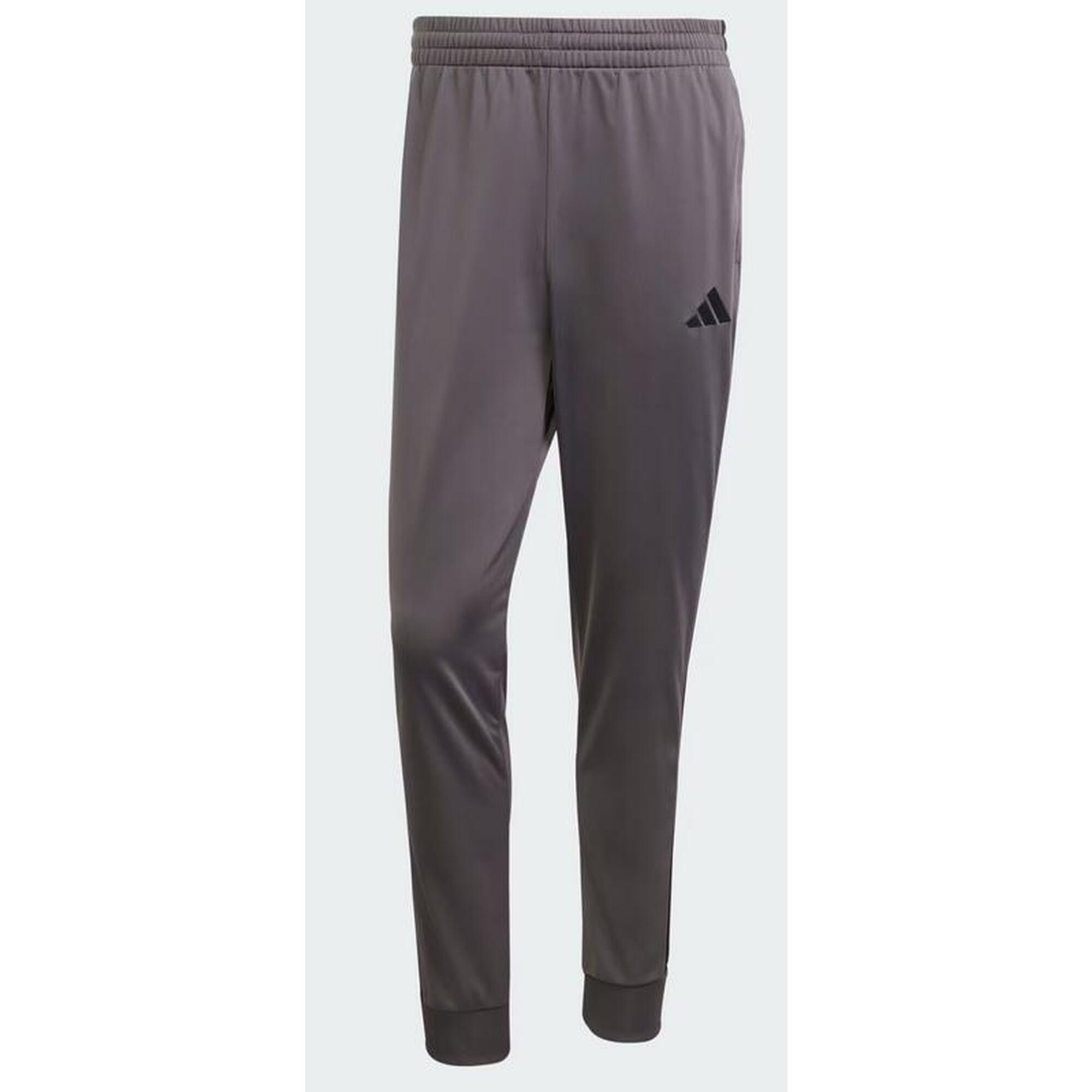 SURVÊTEMENT DAYREADY