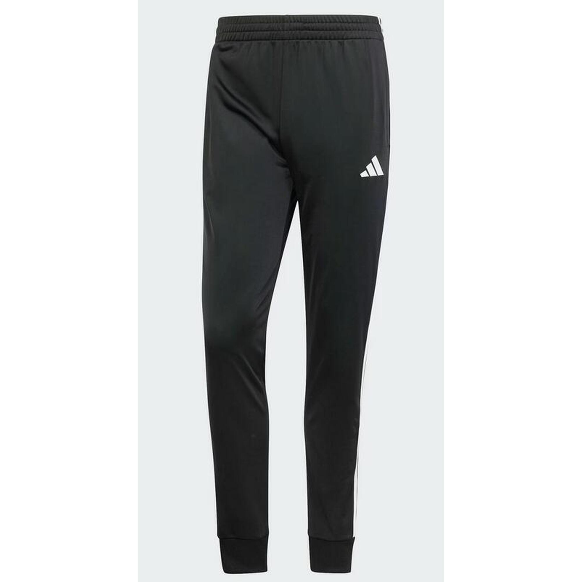 TRENING DAYREADY