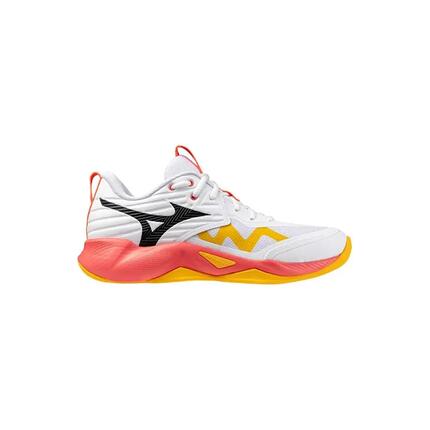 Zapatillas para Hombre Mizuno Wave momentum pro Multicolor