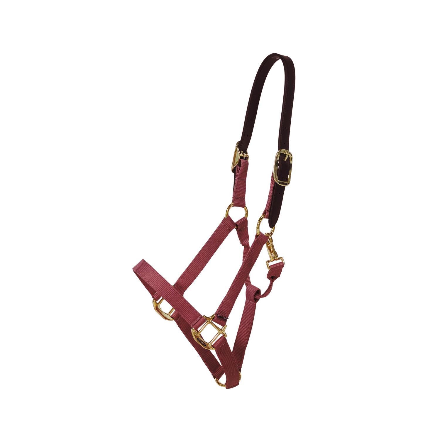 KENTUCKY HORSEWEAR picture