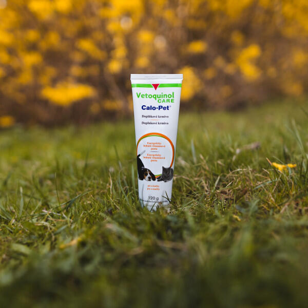 CaloPet gel pro psy 120g 5/6