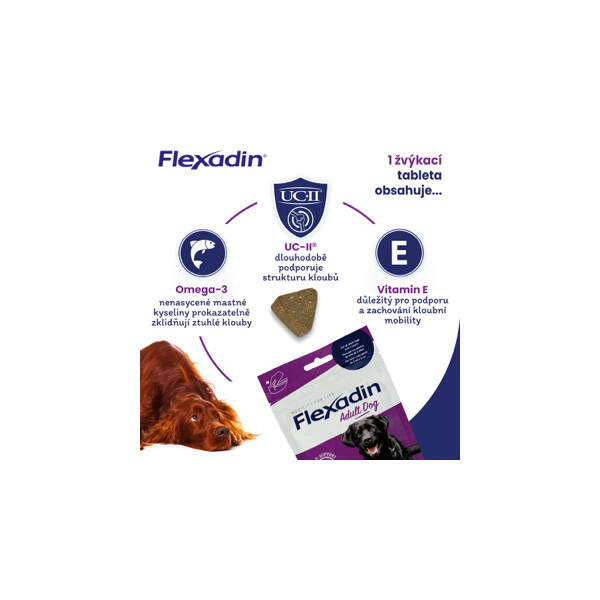 Kloubní výživa Flexadin pro psy 60tbl 6/7