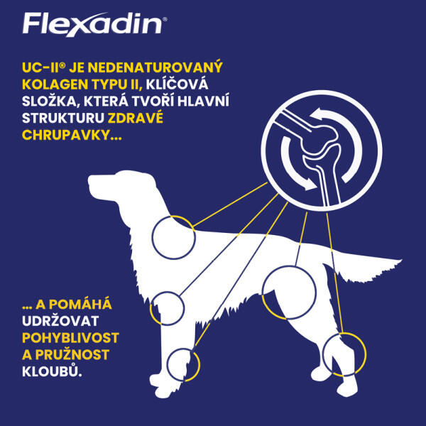 Kloubní výživa Flexadin pro psy 60tbl 7/7