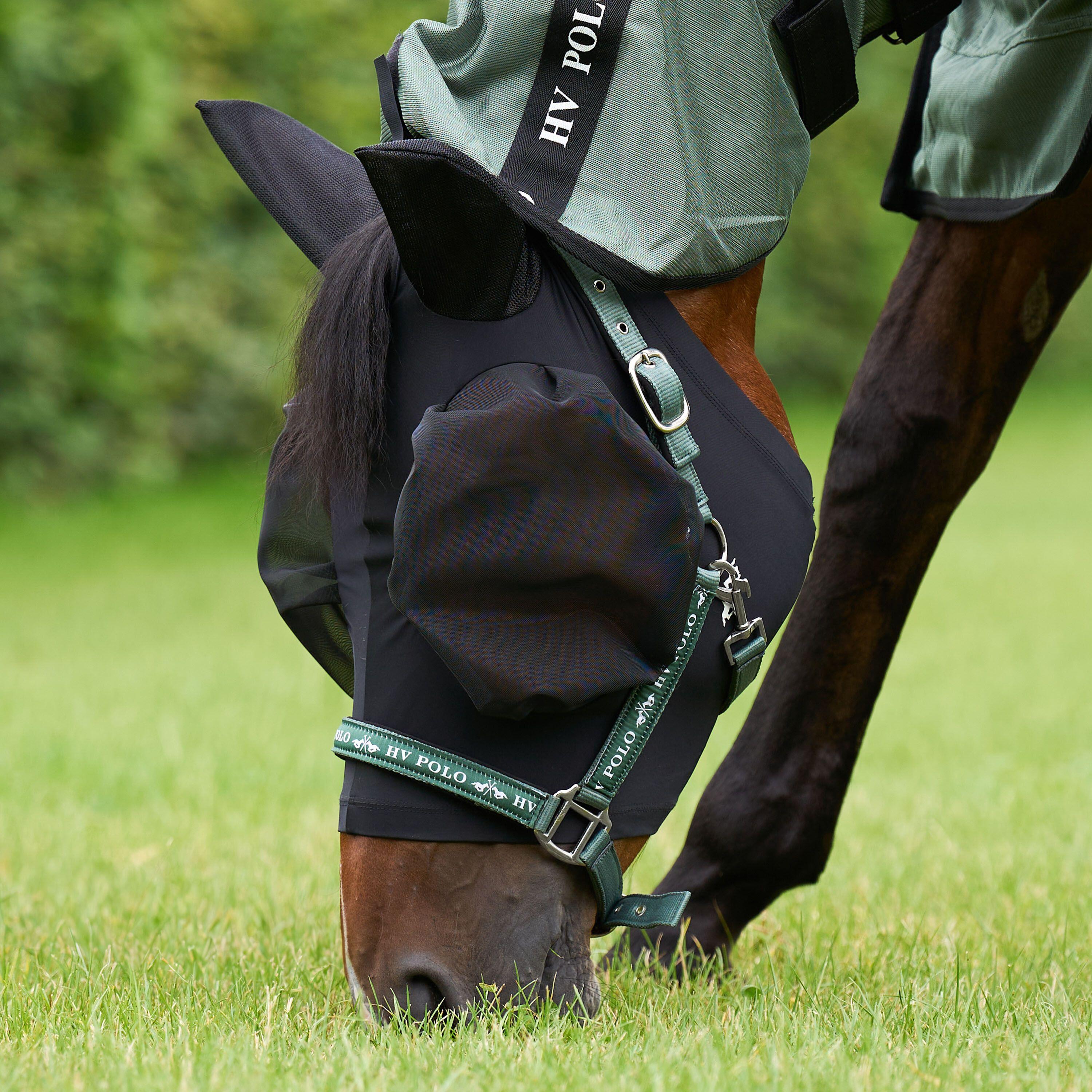 HV POLO picture